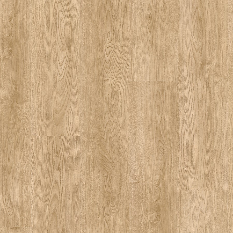 Beautifloor Antwerpen Ranst