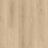 Beautifloor Antwerpen Lint