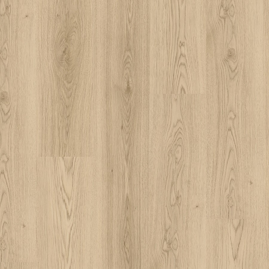 Beautifloor Antwerpen Lint