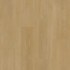 Bodiax BP590 Royal Hydro-core clic PVC 593 Regency