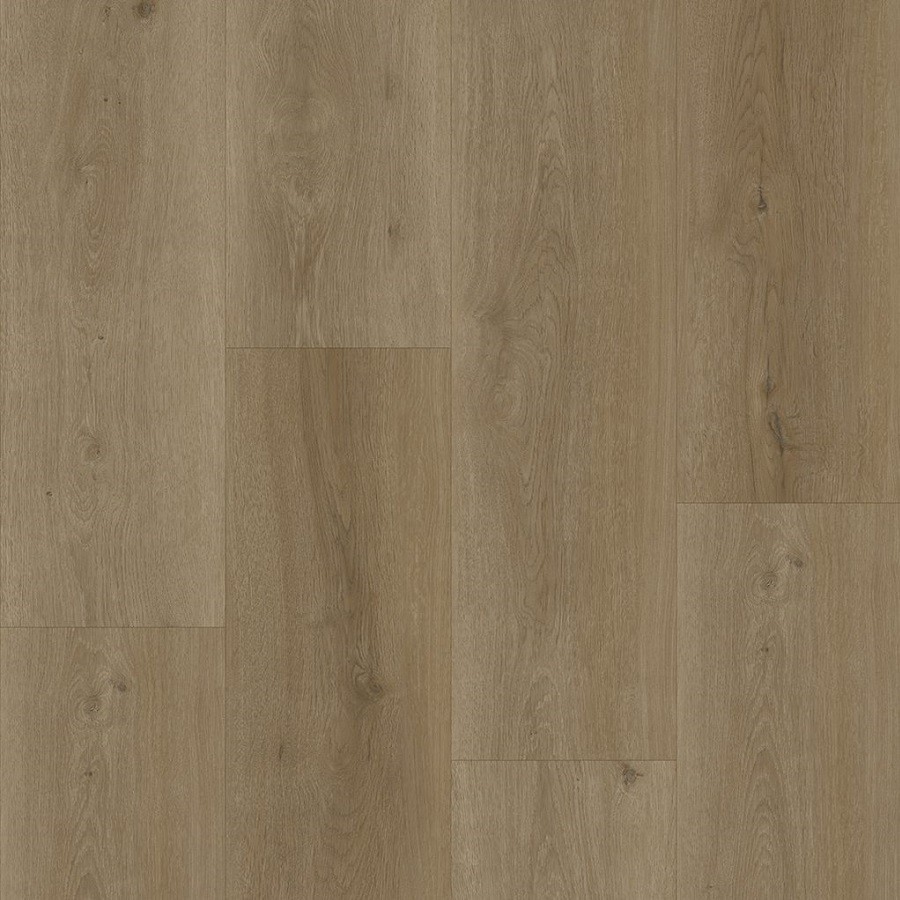 Bodiax BP300 Longa dry-back PVC 333 Selenite