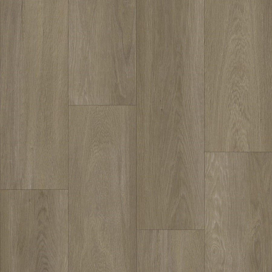 Bodiax BP370 Estrela dry-back PVC 123 Ash