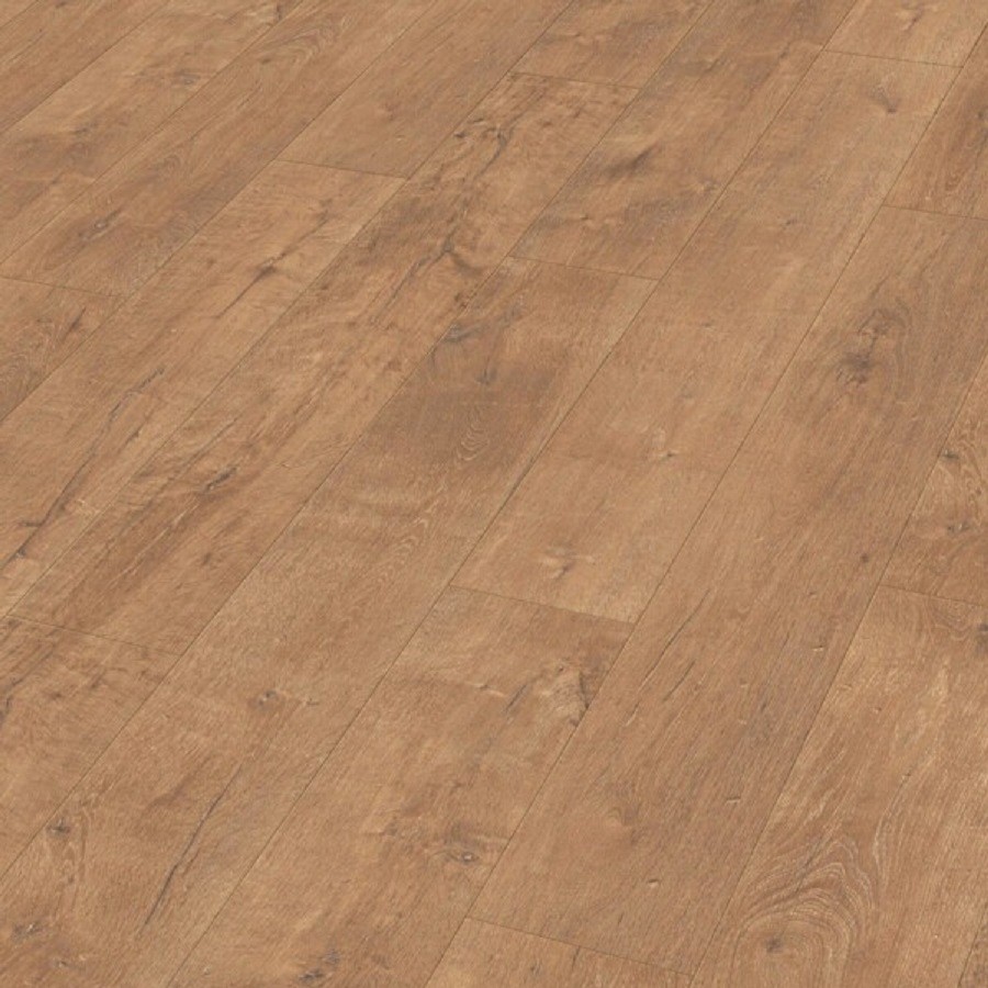 Meister LD 55 Zomereik natuur 06952