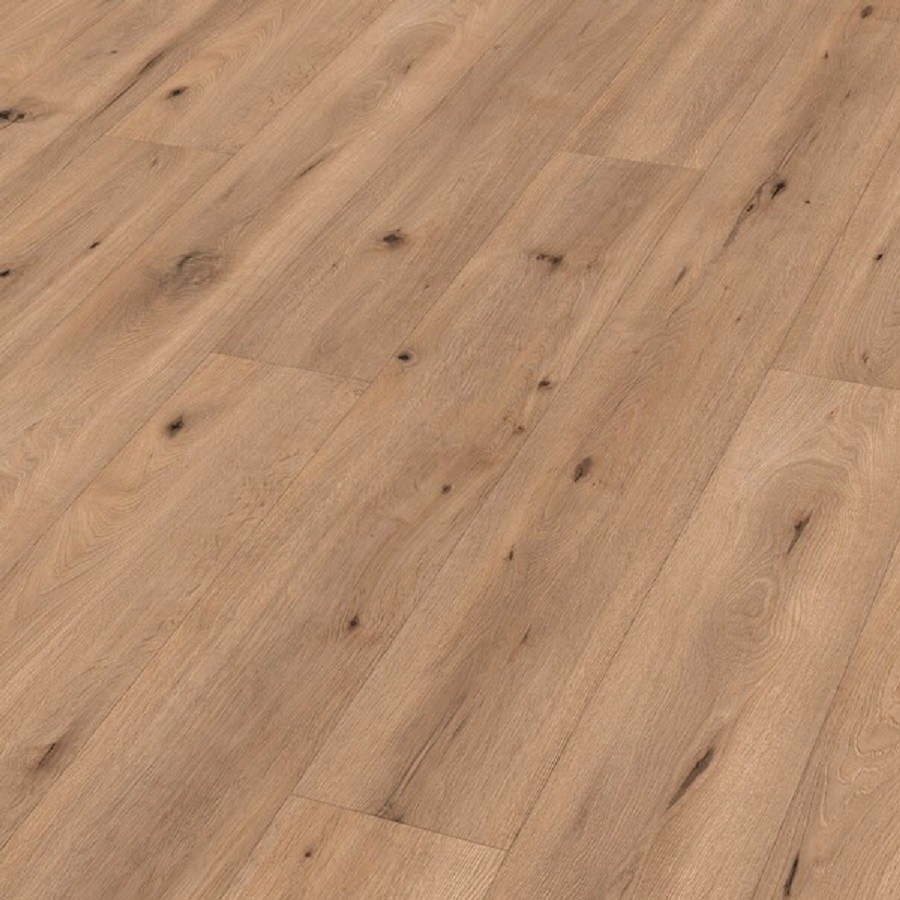 Meister LL 150 S Veldeik Licht 06843