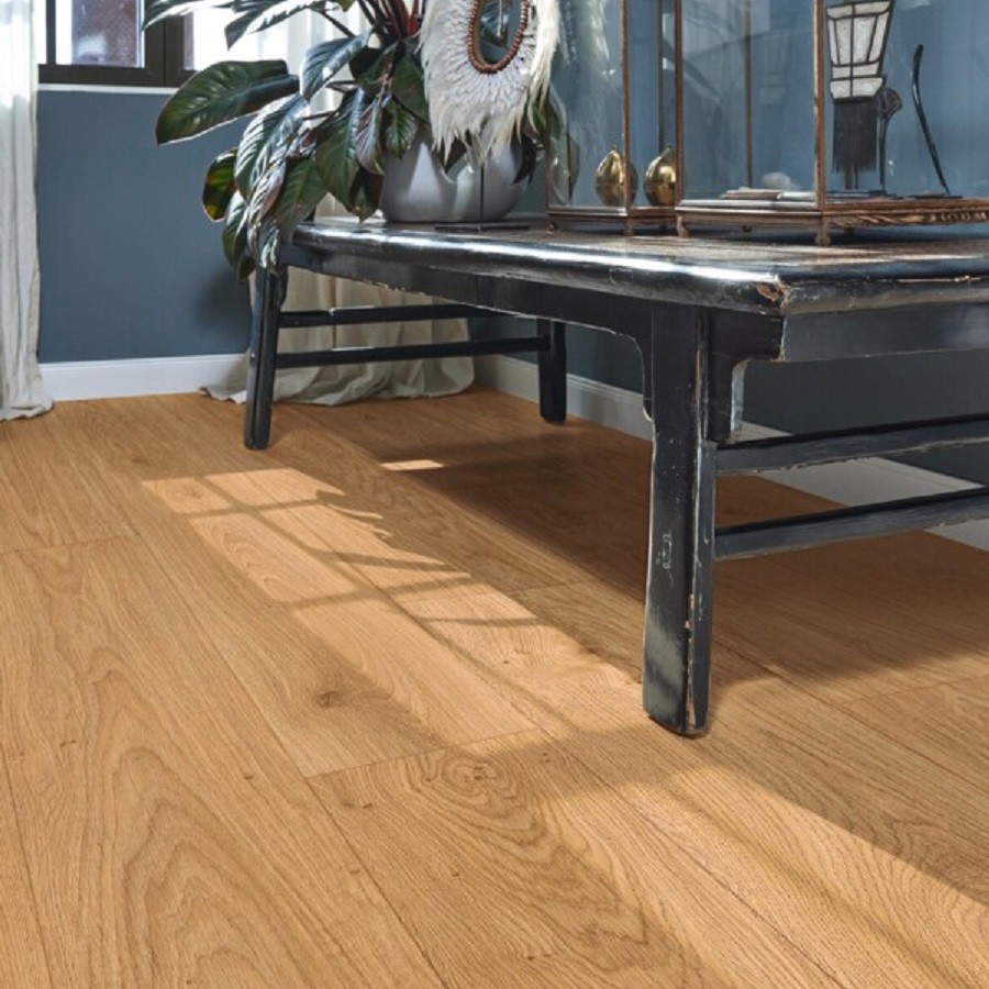 Meister LD 250 Oevereik honing 07127