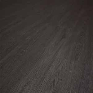 Intra Rigid Clic 1481-6
