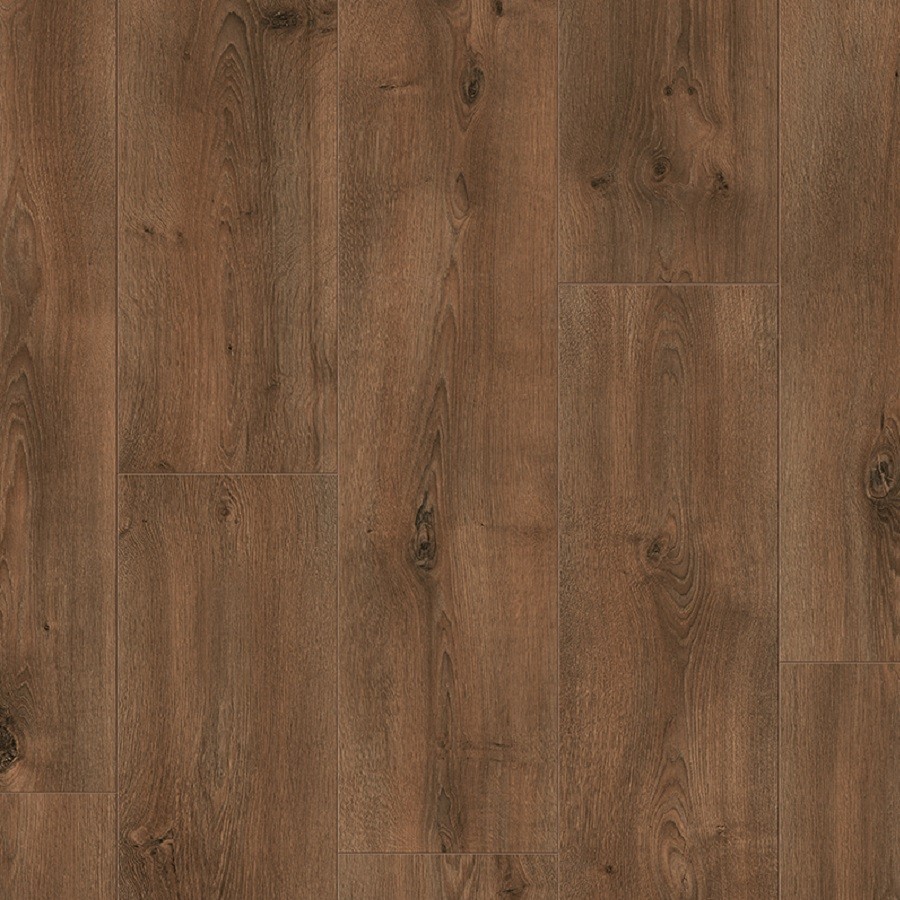 Vitality Jumbo 403 Wadi Rum Eik