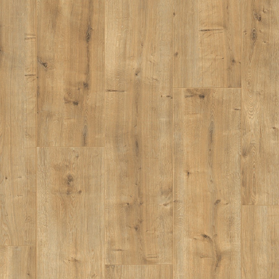 Vitality Jumbo 221 Taylor Eik