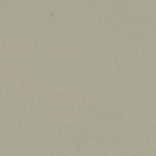 Core 933724 Orbit
