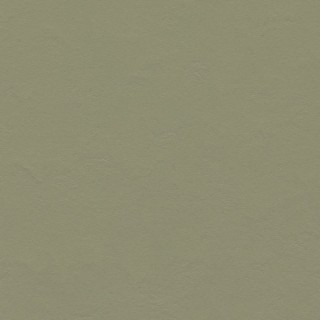 Core 933355 Rosemary Green