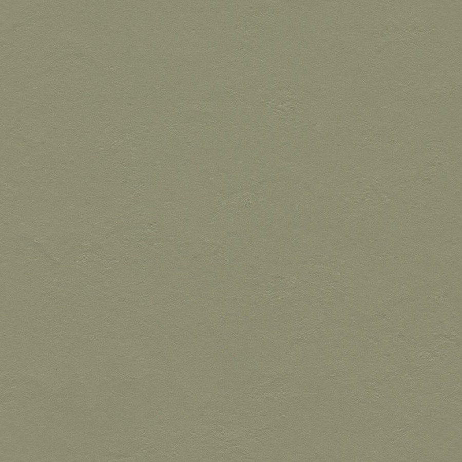 Core 933355 Rosemary Green