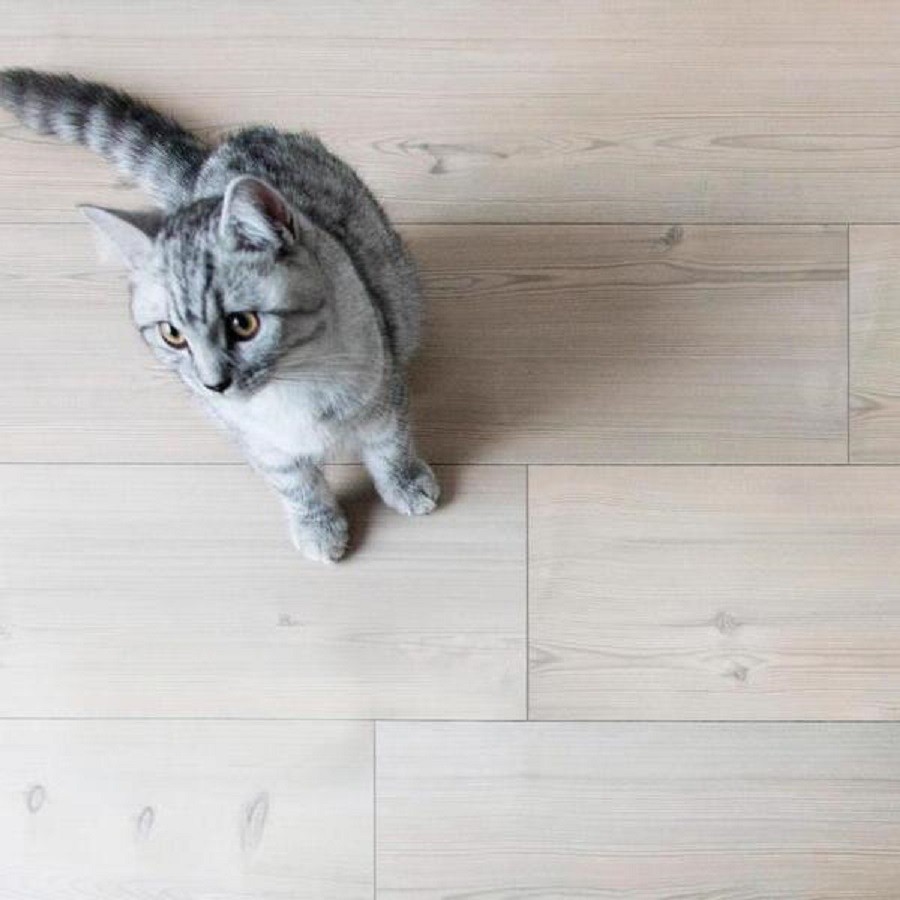 BerryAlloc HPF Original White Pine