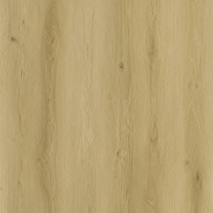 Sense Click EXLargo SPC EXL530 220 x 26 cm