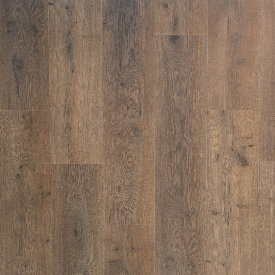 Douwes Dekker Spontaan Dille