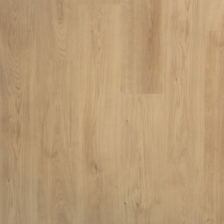 Douwes Dekker Spontaan Nootmuskaat