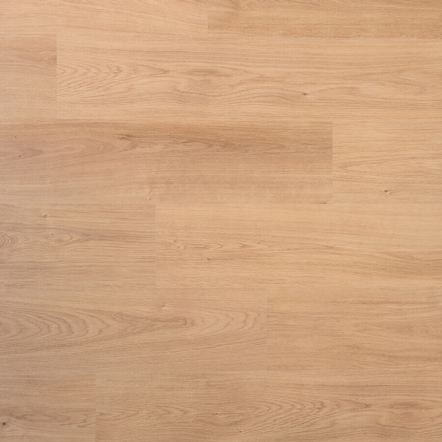 Douwes Dekker Spontaan Nootmuskaat