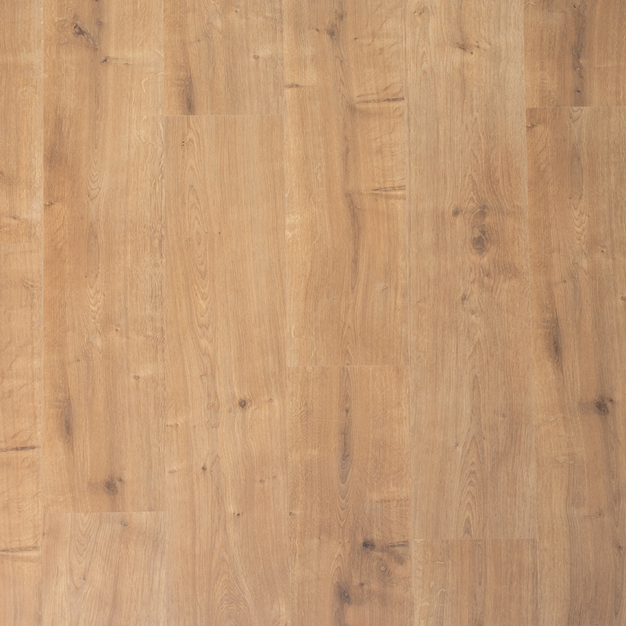 Douwes Dekker Spontaan Saffraan