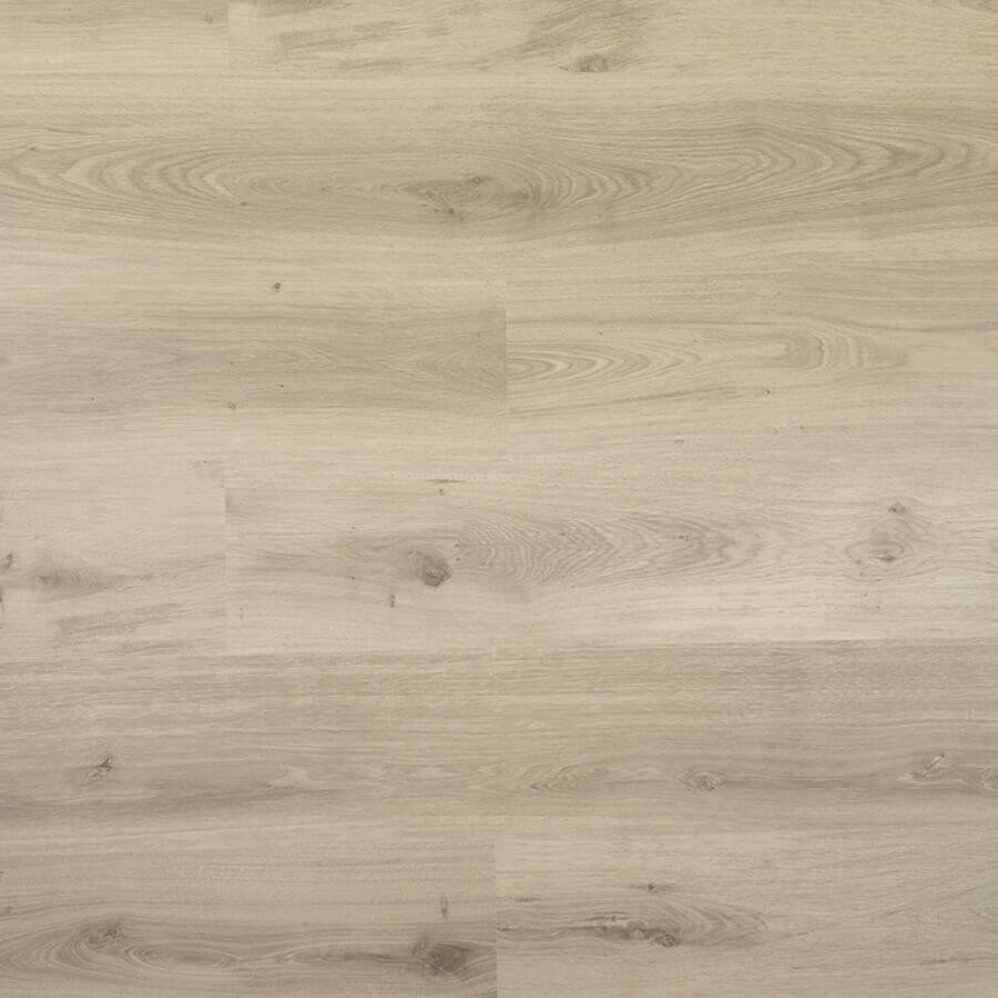 Douwes Dekker Spontaan Tijm