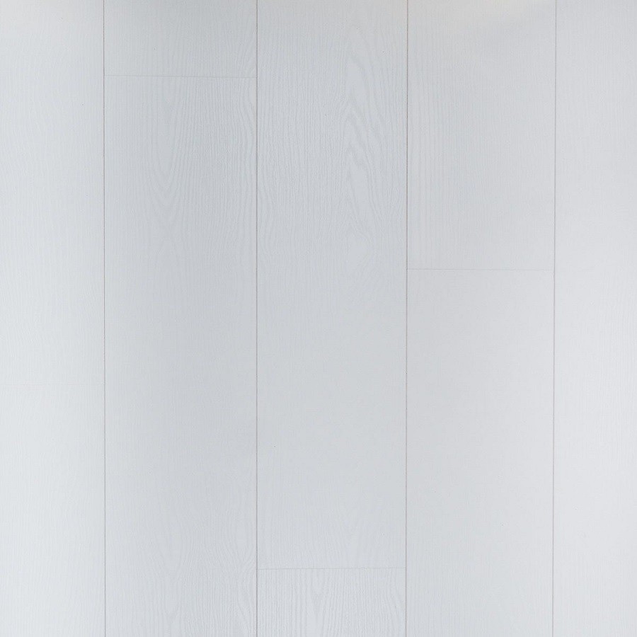 Douwes Dekker Sympathiek Koriander