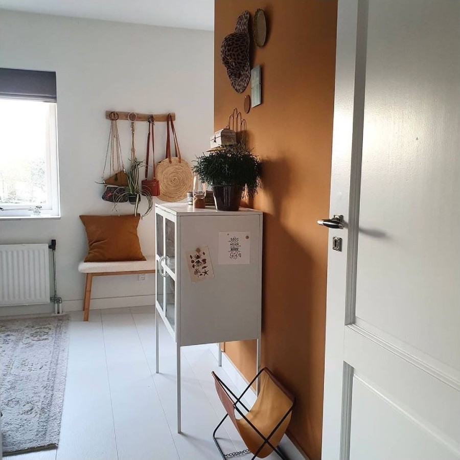 Douwes Dekker Sympathiek Koriander