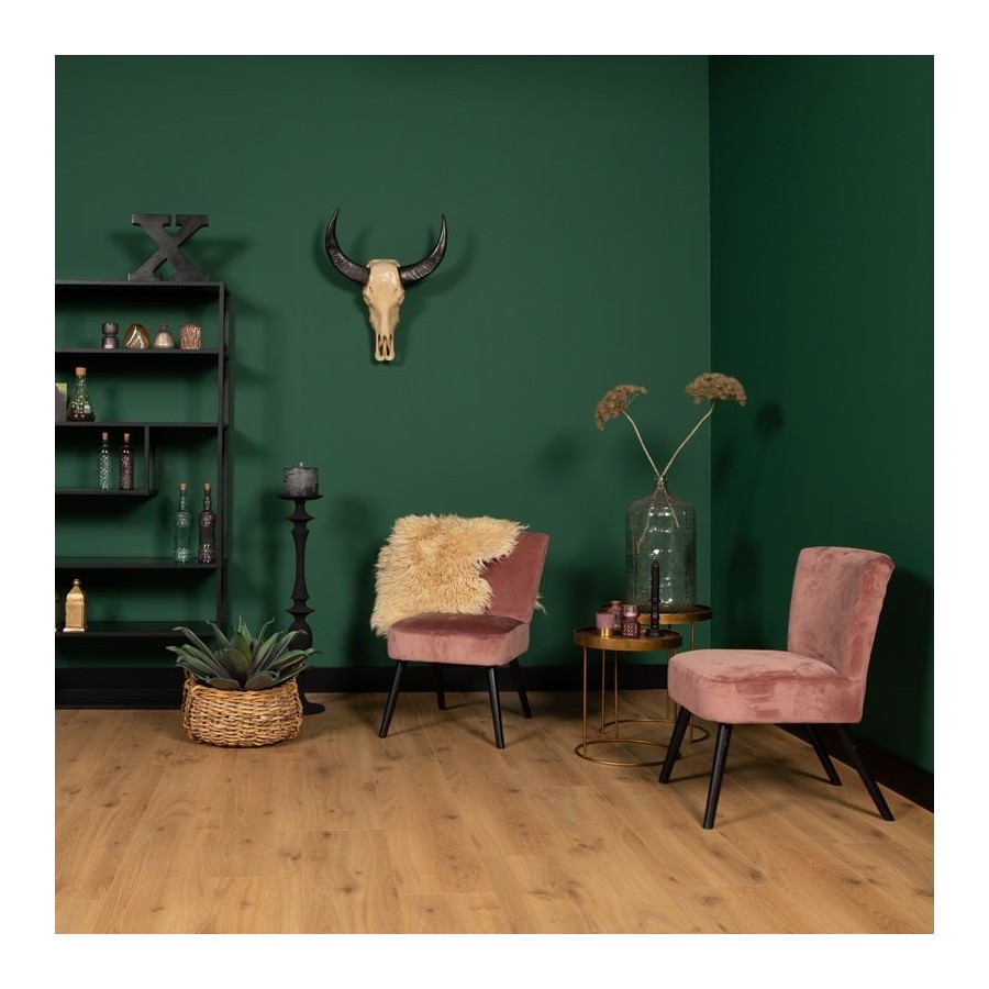 Douwes Dekker Sympathiek Peterselie