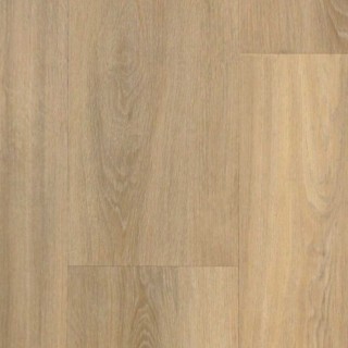 EKO Excellent Amazone plak