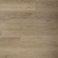 Douwes Dekker Ambitieus Riante Plank Klik spekkoek