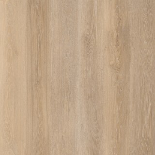 Lifestyle-Interior 6678 Walk on Me Click