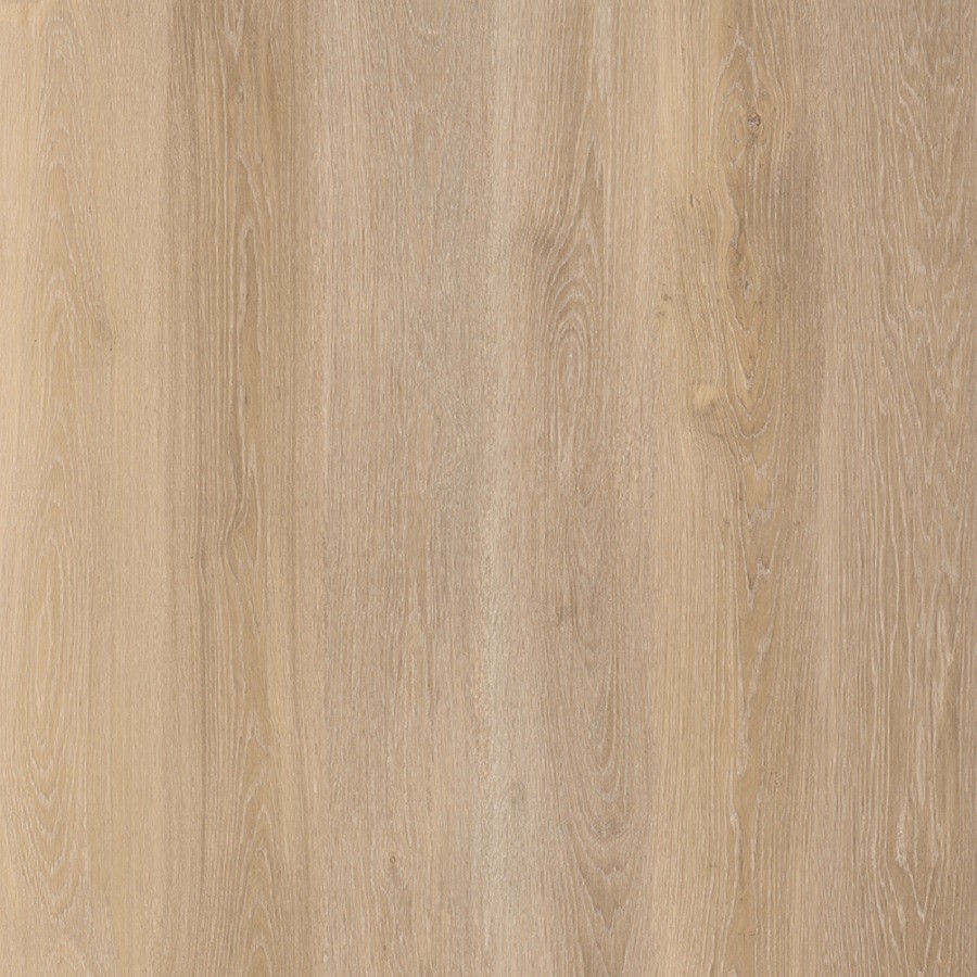 Lifestyle-Interior 6678 Walk on Me Click