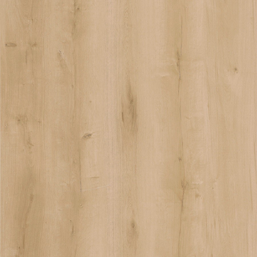 Lifestyle-Interior 20610 Walk on Me Click