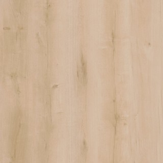 Lifestyle-Interior 20609 Walk on Me Click