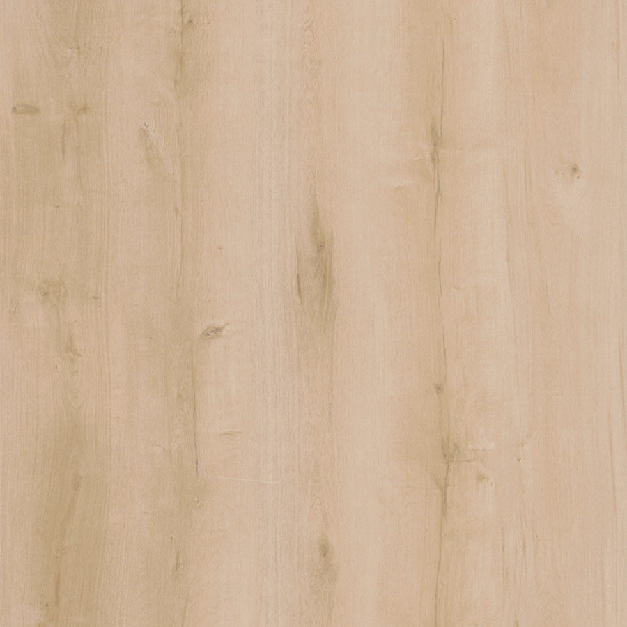 Lifestyle-Interior 20609 Walk on Me Click