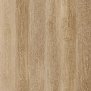Lifestyle-Interior 20601 Walk on Me Click