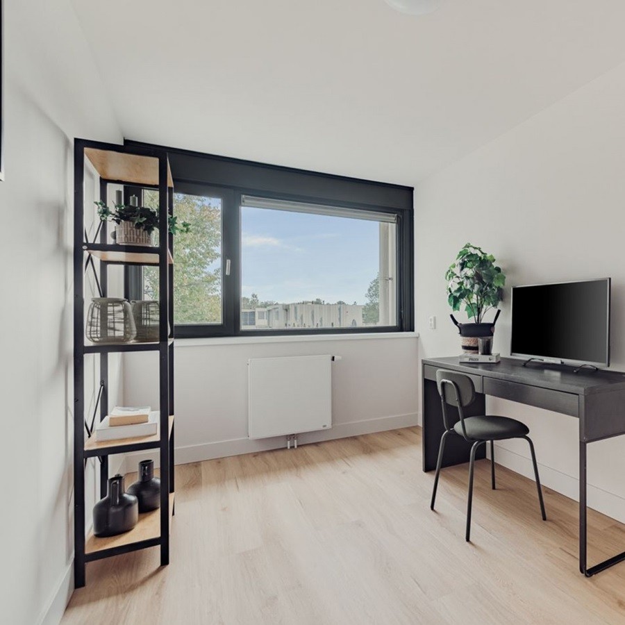 Solidfloor Mansion Rigid Klik Unfinished Oak