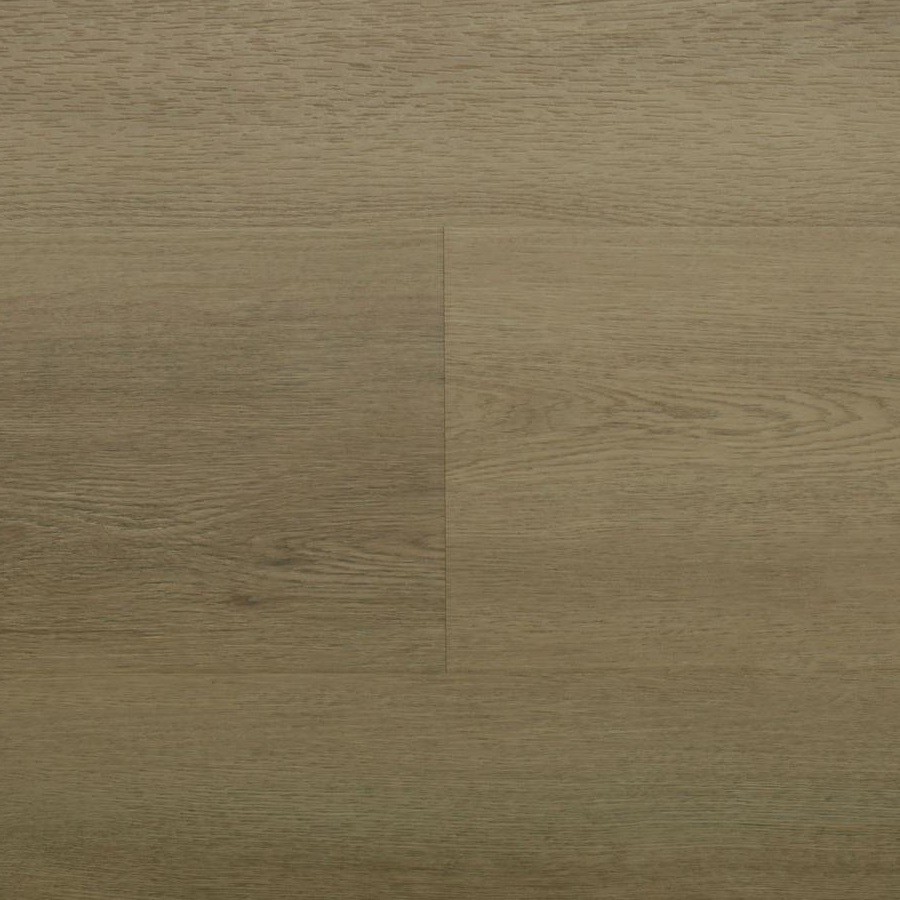 Saffier Avenue Plank Plak 7265 Jacksonville