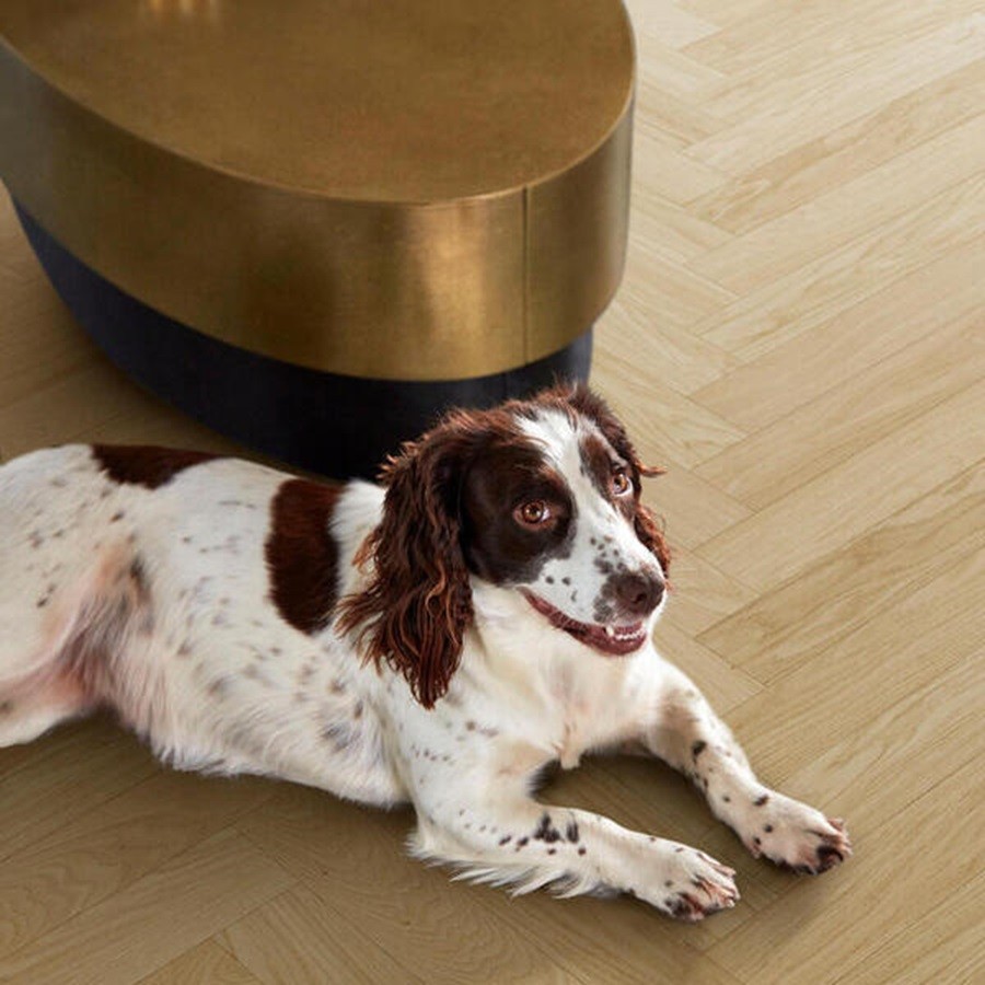 BerryAlloc Parqwood Visgraat Oak Calm Nature