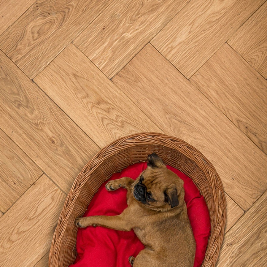 Floer Visgraat Parket Rustiek Eiken Verouderd & Geolied