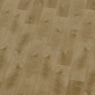 Republic Floor DryBack ElementsXTended Fire Aledo