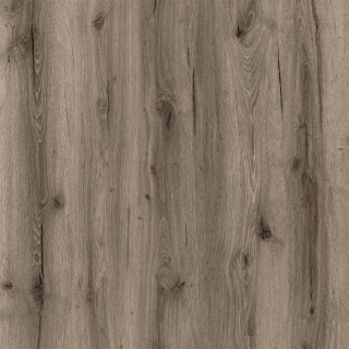Republic Floor DryBack Crocodile Crazeee