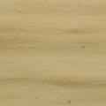 Sense Dryback P 530
