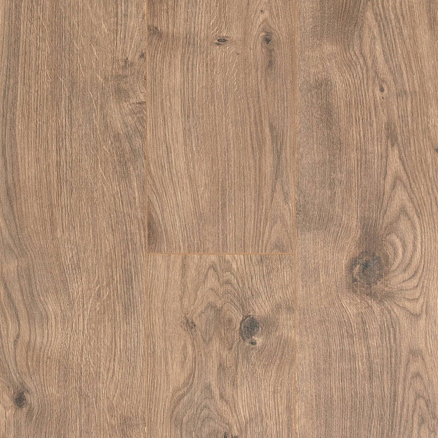 Cadenza Allegro Brown K1511