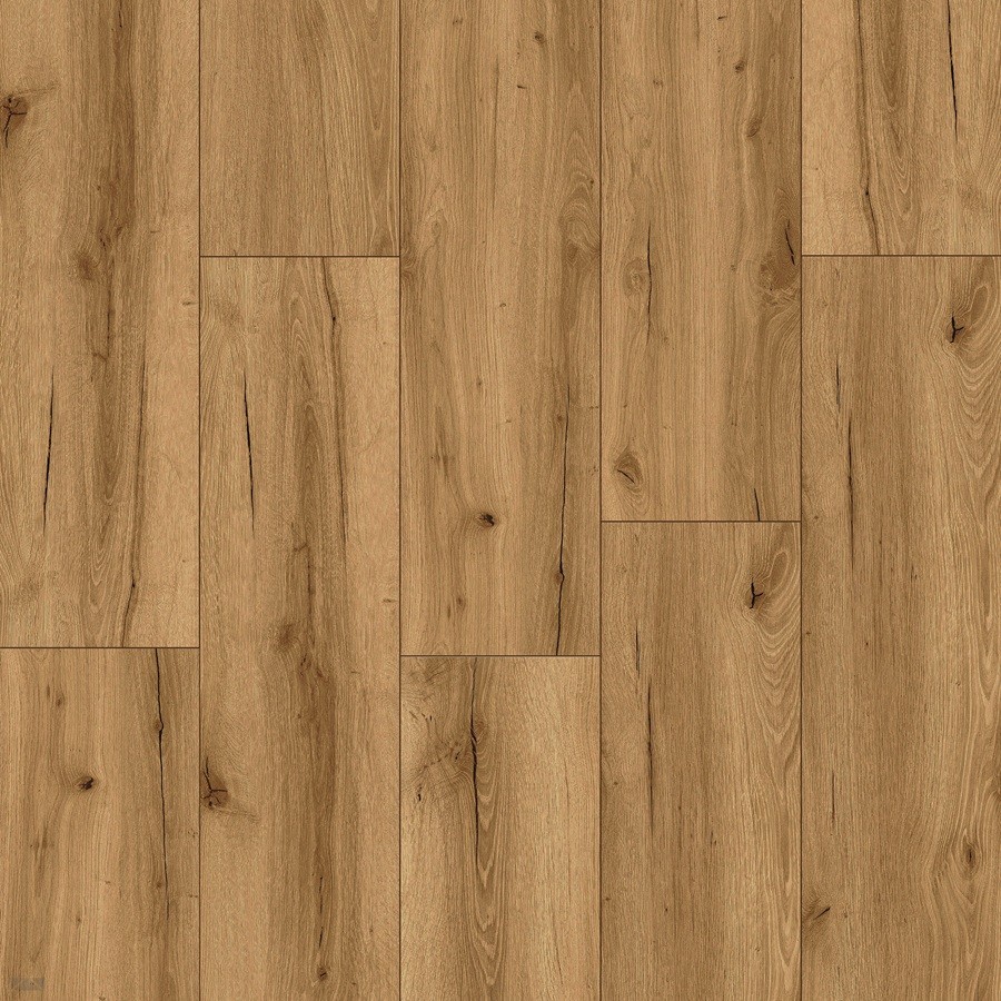 Meister RD 200 S Rigid 20081 Sunset lounge