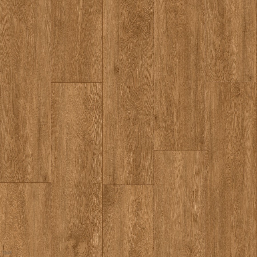 Meister RD 200 S Rigid 20080 Quiet storm