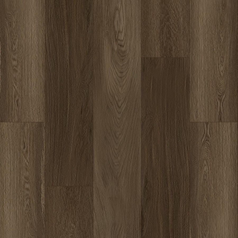 Bodiax BP370 Estrela dry-back PVC 146 Velvet Espresso