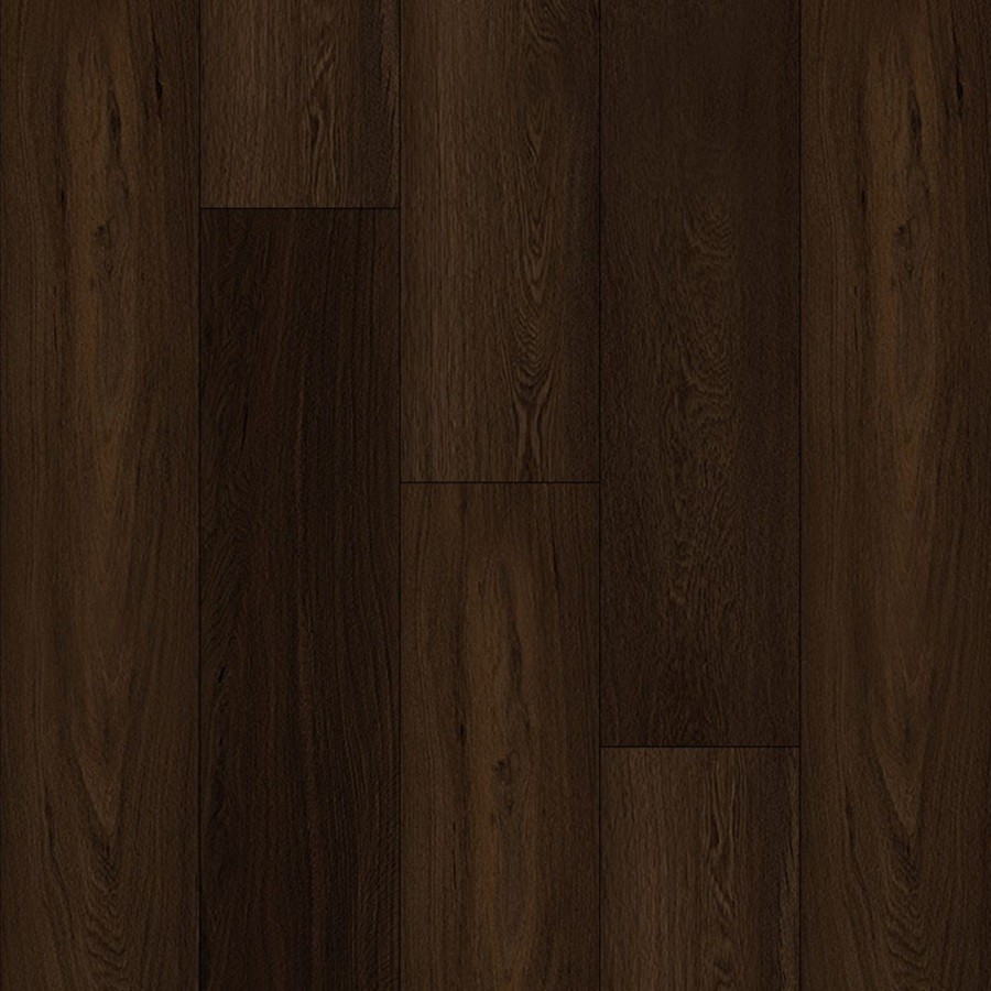 Bodiax BP370 Estrela dry-back PVC 147 Noir Prestige