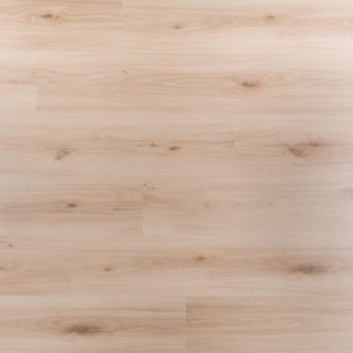 Douwes Dekker Spontaan Cajun