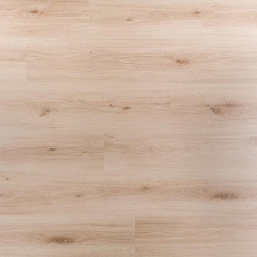 Douwes Dekker Spontaan Cajun