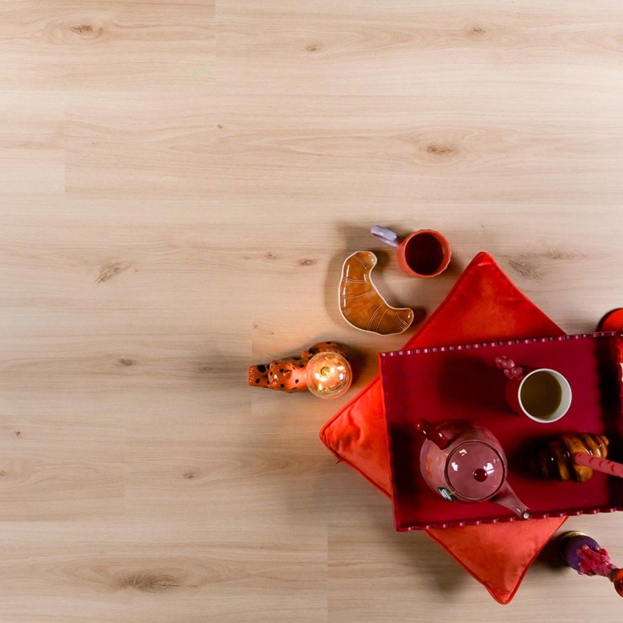 Douwes Dekker Spontaan Cajun