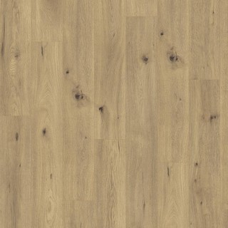 Joka Madison City 431 NP 4844 Oak Spirit AS V4