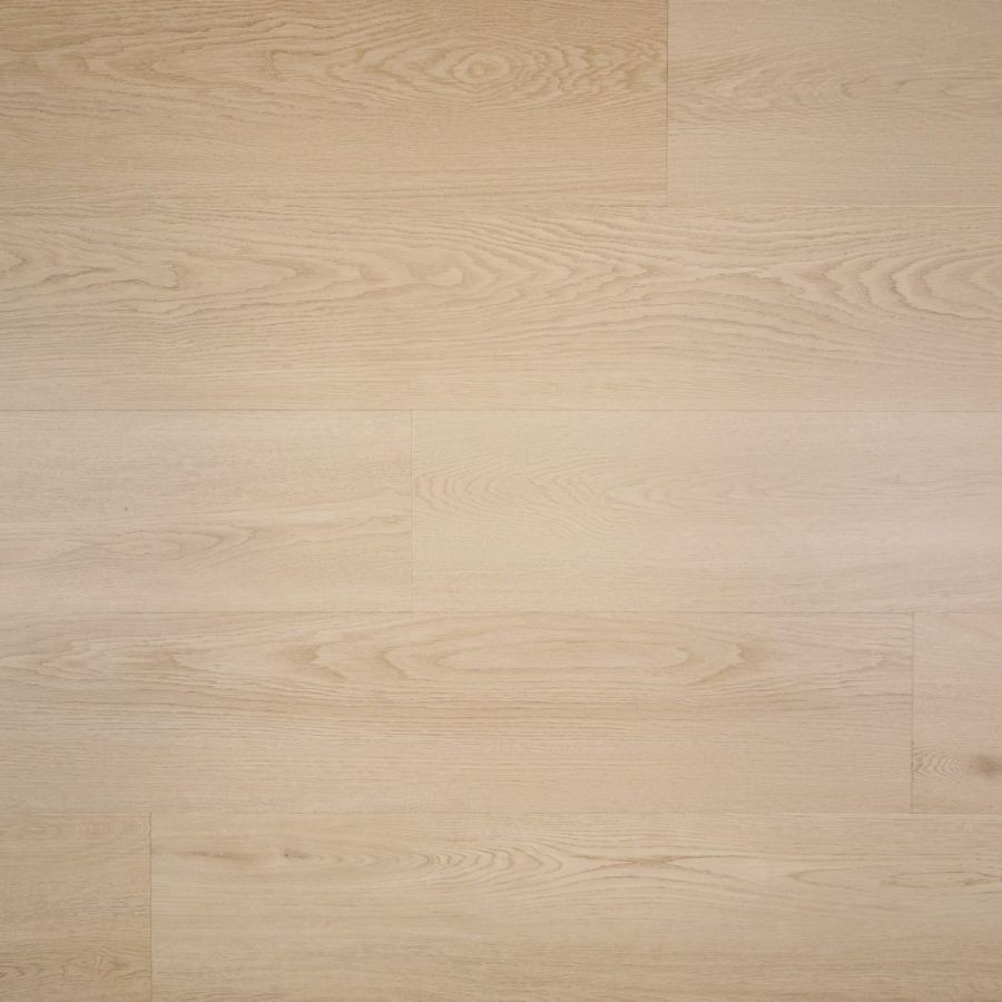 Douwes Dekker Nieuwe Oogst plak Plank abrikoos